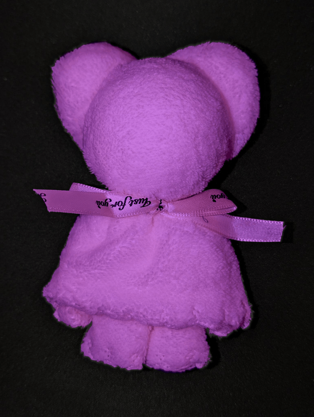 Teddy Bear Face Cloth