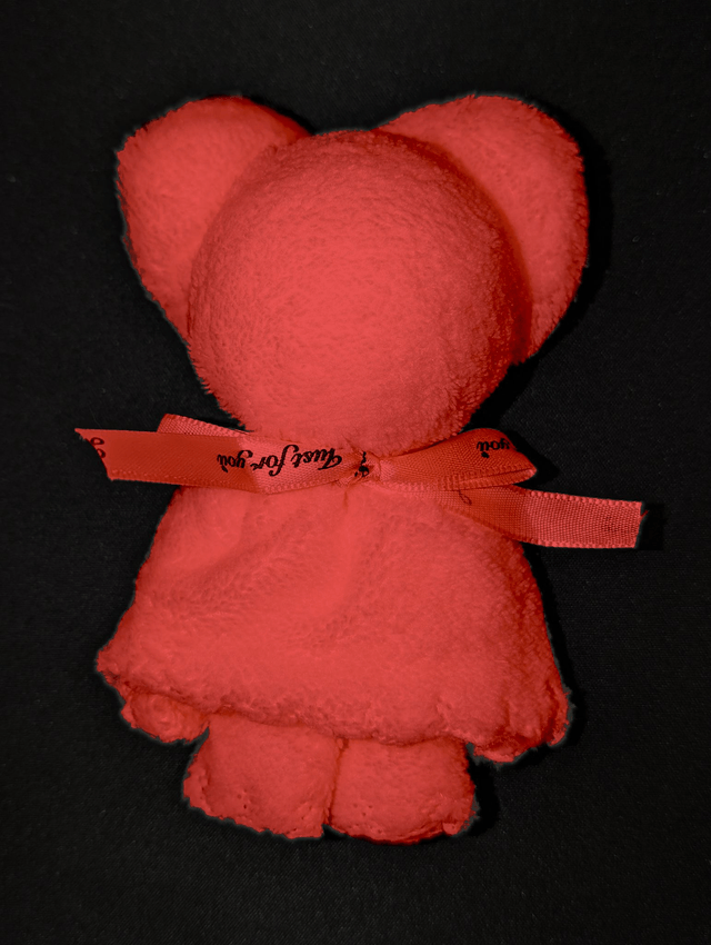 Teddy Bear Face Cloth