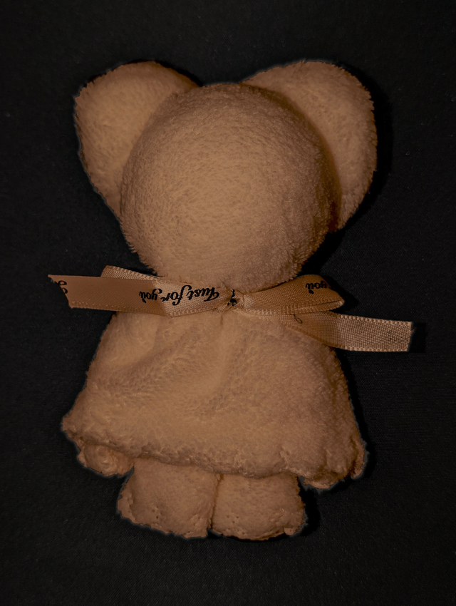 Teddy Bear Face Cloth
