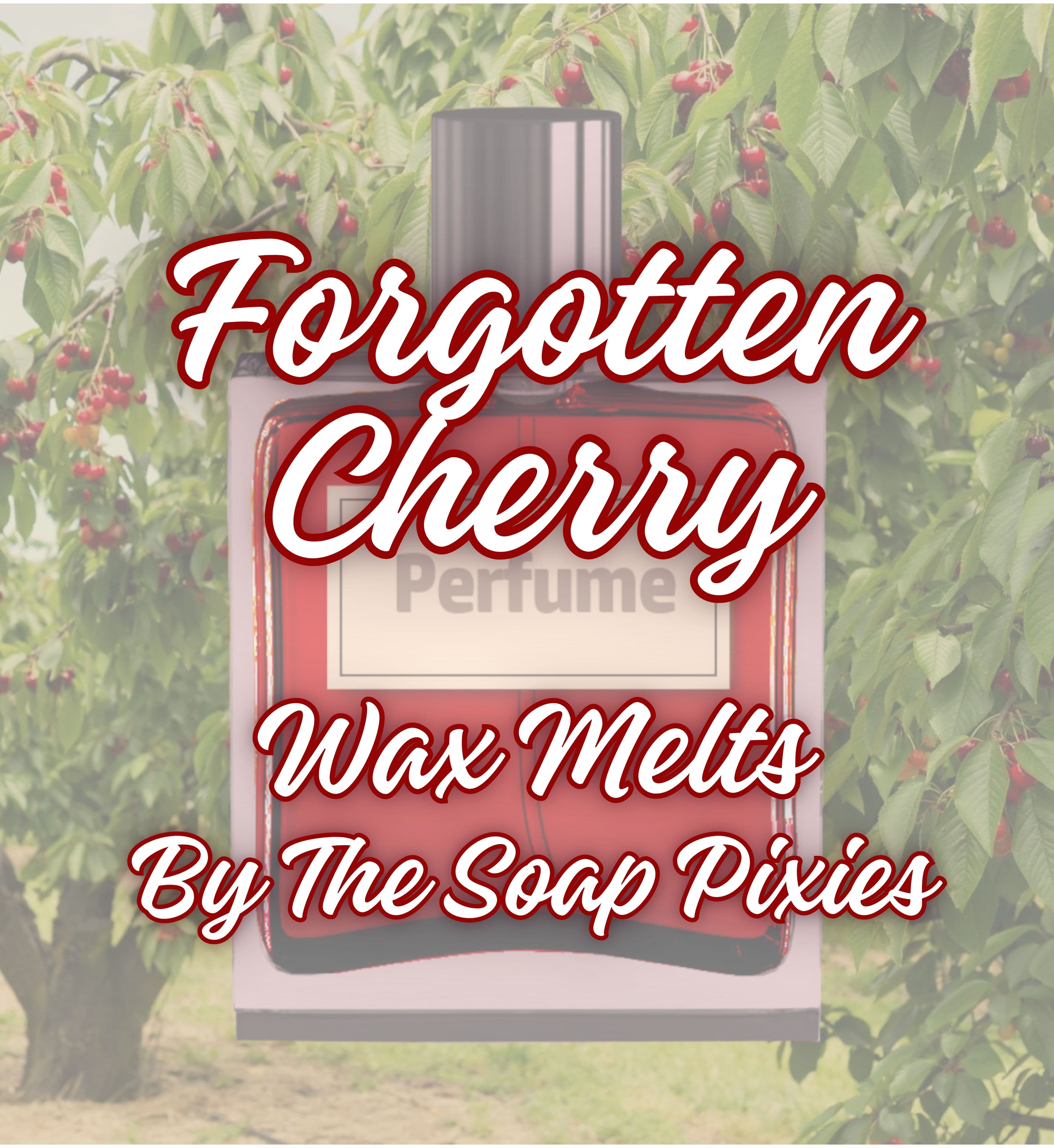 Forgotten Cherry Wax Melt (50g Clamshell)